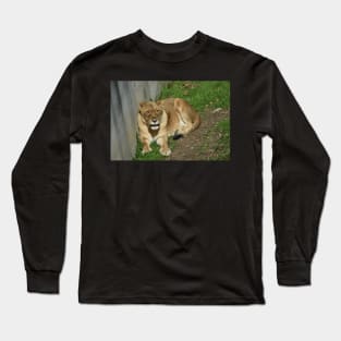 Lioness Long Sleeve T-Shirt